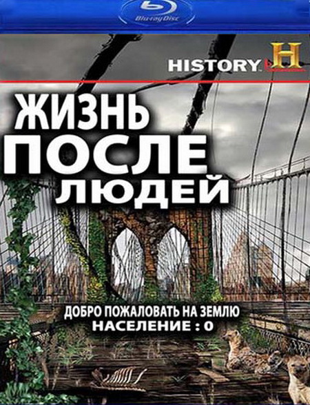 торрент игры