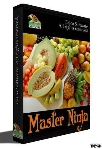 Master Ninja (2011) PC