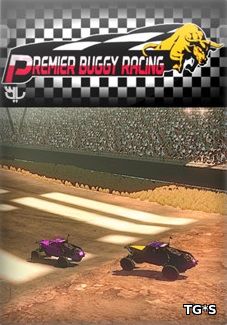 Premier Buggy Racing Tour [ENG] (2017) PC | Лицензия