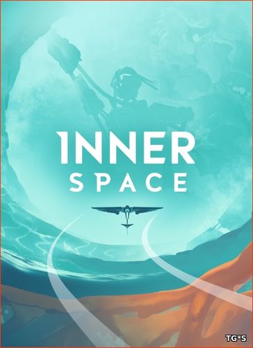 InnerSpace (2018) PC | Лицензия
