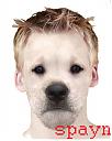 spayn1984