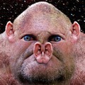 suovoung