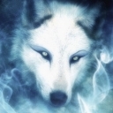 White_Wolf