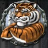 TIGERBOND