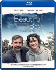 Красивый мальчик / Beautiful Boy — скачать торрент фильм
