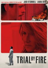 Испытание огнем / Trial by Fire — скачать торрент фильм
