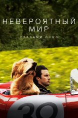 Невероятный мир глазами Энцо / The Art of Racing in the Rain — скачать торрент фильм