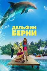 Дельфин Берни / Bernie The Dolphin — скачать торрент фильм