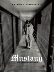Мустанг / The Mustang — скачать торрент фильм
