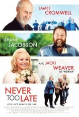 Никогда не поздно / Never Too Late — скачать торрент фильм