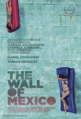 Мексиканская стена / The Wall of Mexico — скачать торрент фильм