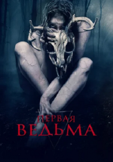 Первая ведьма / The Wretched — скачать торрент фильм