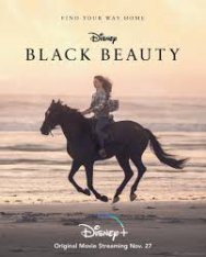 Чёрный Красавец / Black Beauty — скачать торрент фильм