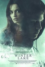 Зимнее озеро / Холодное озеро / The Winter Lake — скачать торрент фильм