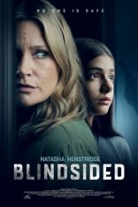 Поймать свидетеля / Исподтишка / Blindsided / Night of the Sicario — скачать торрент фильм