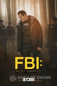 ФБР: Самые разыскиваемые преступники / FBI: Most Wanted [02x01-10 из 16] WEBRip — скачать торрент фильм