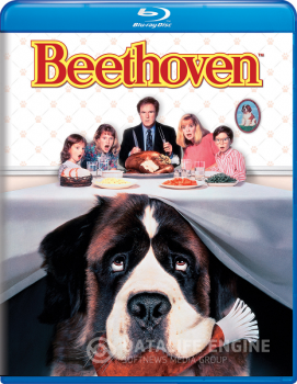 Бетховен / Beethoven — скачать торрент фильм