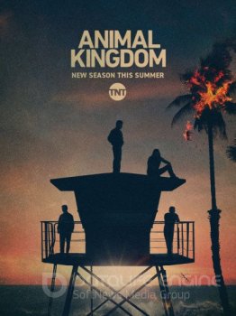 По волчьим законам / Animal Kingdom [05x01-04 из 13] WEBRip — скачать торрент фильм