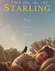 Скворец / The Starling — скачать торрент фильм