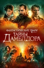Фантастические твари: Тайны Дамблдора / Fantastic Beas — скачать торрент фильм