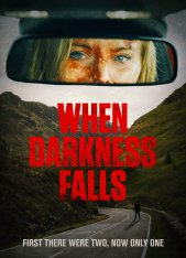 Когда наступит тьма / When Darkness Falls — скачать торрент фильм
