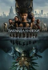 Чёрная Пантера: Ваканда навсегда / Black Panther: Wakanda Forever (2022) BDRip 1080p