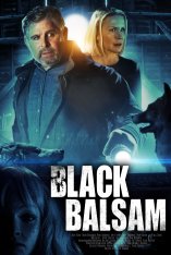 Дом на Черной горе / Black Balsam — скачать торрент фильм