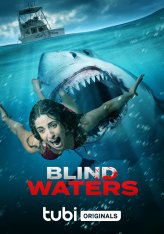 Мутные воды / Blind Waters — скачать торрент фильм