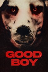 Опасный друг / Good Boy — скачать торрент фильм