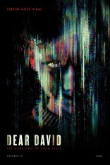 Дорогой Дэвид / Dear David — скачать торрент фильм