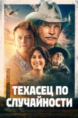 Техасец по случайности / Accidental Texan — скачать торрент фильм