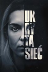 Скрытая сеть / The Hidden Web / Ukryta siec (2023) WEB-DL 1080p