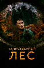 Таинственный лес / Кольцевая дорога / Loop Track — скачать торрент фильм