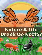 Nature & Life: Drunk On Nectar (2025)