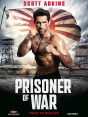 Военнопленный / Prisoner of War (2025) WEB-DLRip-AVC