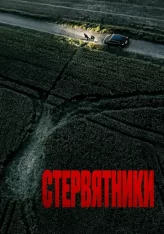 Стервятники / Vultures / Rapaces (2025) WEB-DL 1080p