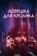 Ловушка для кролика / Rabbit Trap (2025) BDRip | Лицензия