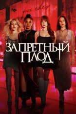 Запретный плод / Forbidden Fruits (2026) WEB-DL 1080p | Чистый звук