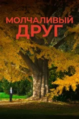 Молчаливый друг / Stille Freundin (2025) WEB-DL 1080p | Лицензия