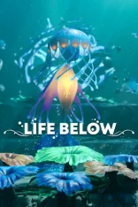 Life Below (2026)